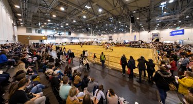 Equitana 2023: Wichtigste Plattform der Reitsportbranche