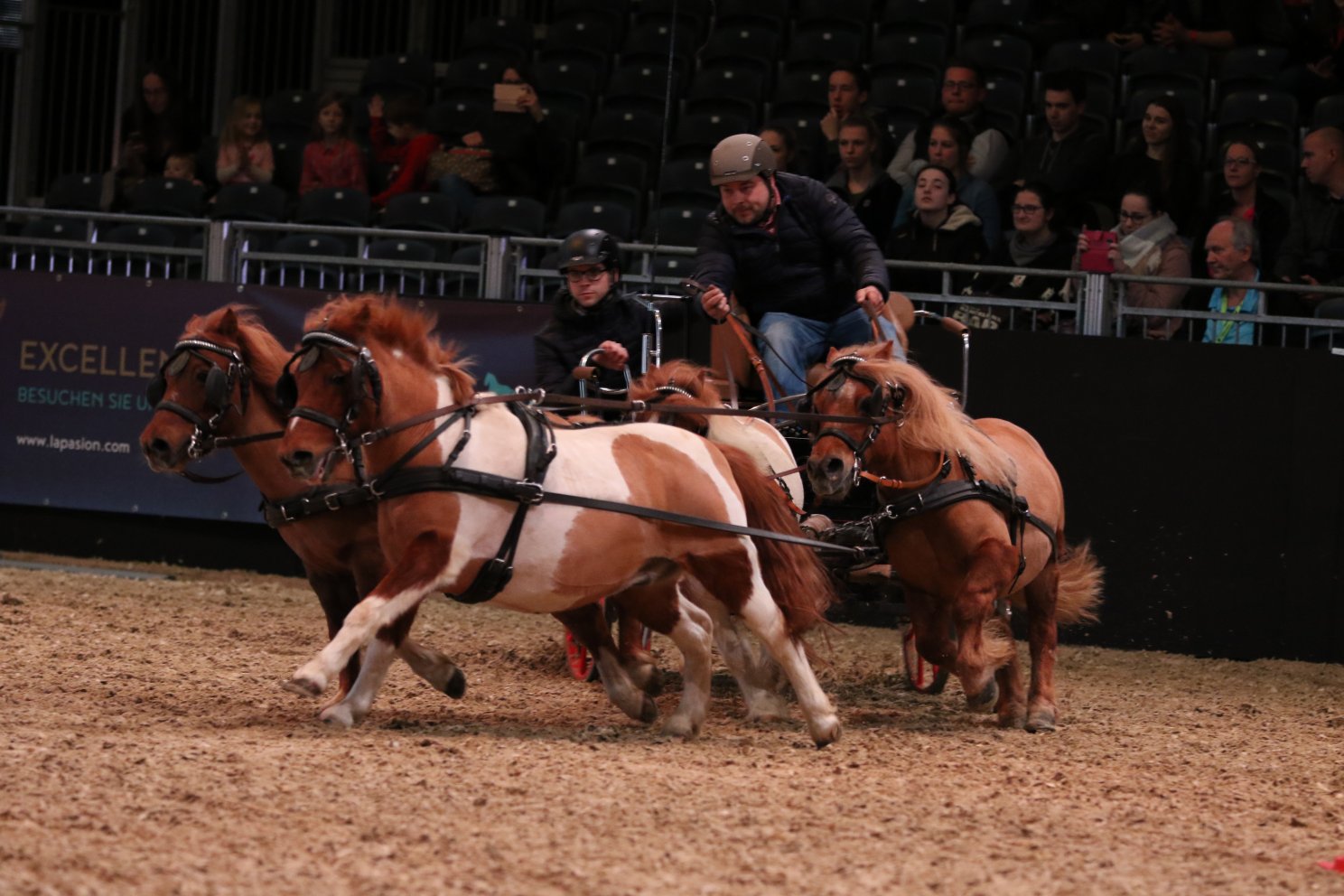 For Visitors Equitana Essen