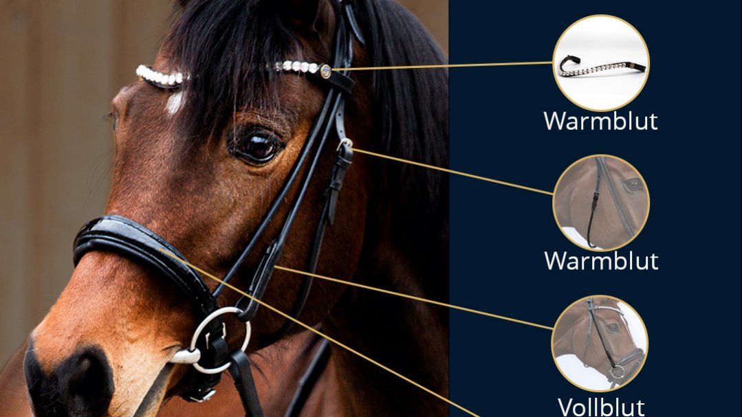 Bridlery Design your Bridle, Stand 7-D29