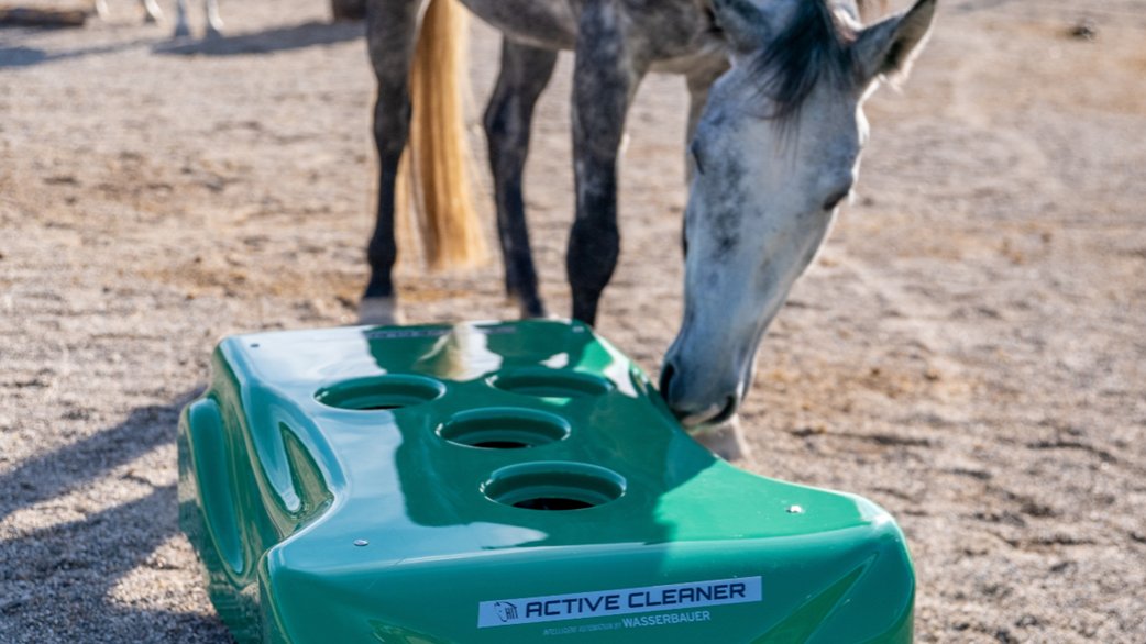 HIT Active Cleaner, Stand 1-Aktivstall