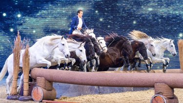 Equitana 2023: Wichtigste Plattform der Reitsportbranche