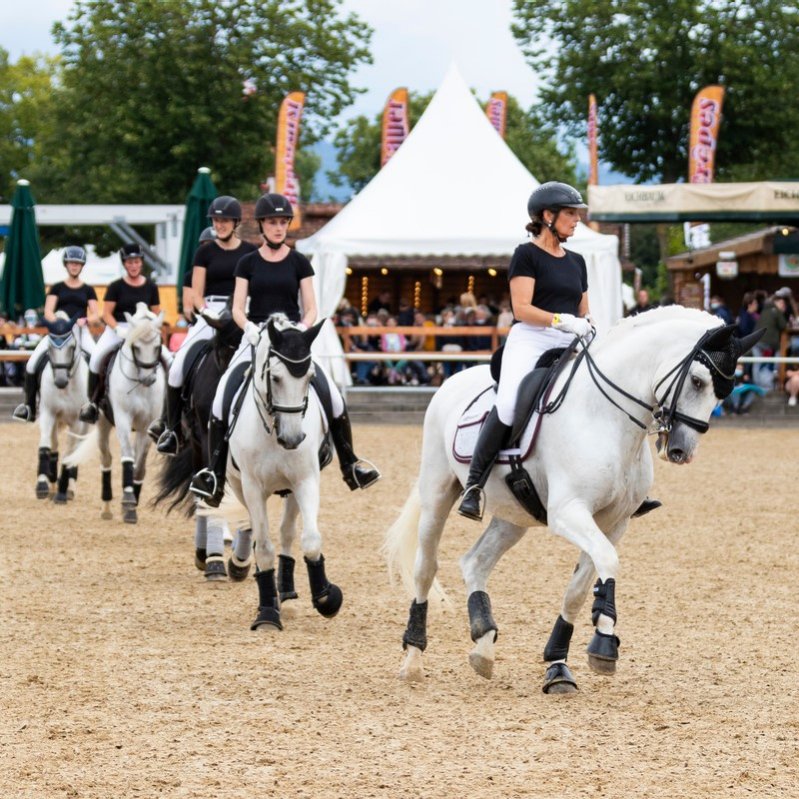 EQUITANA Open Air Mannheim 12. 14 August 2022