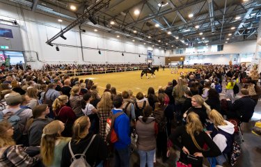 Equitana 2023: Wichtigste Plattform der Reitsportbranche