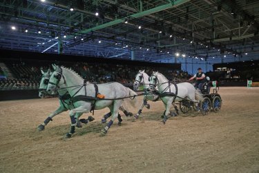 Equitana 2023 – neuer Termin für die Weltmesse des Pferdesports