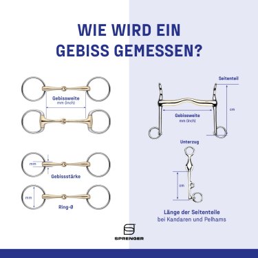 BU hier eingeben