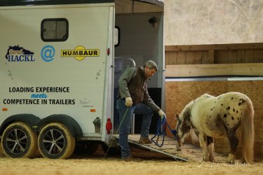 Ausreichend Zeit einplanen und gute Führung beweisen, das hilft beim Verladen. 